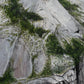 Glacier Point