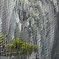 Pine Tree Painting