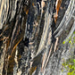 "Thailand Railay Beach" - Phi Phi Islands Fine Art Print
