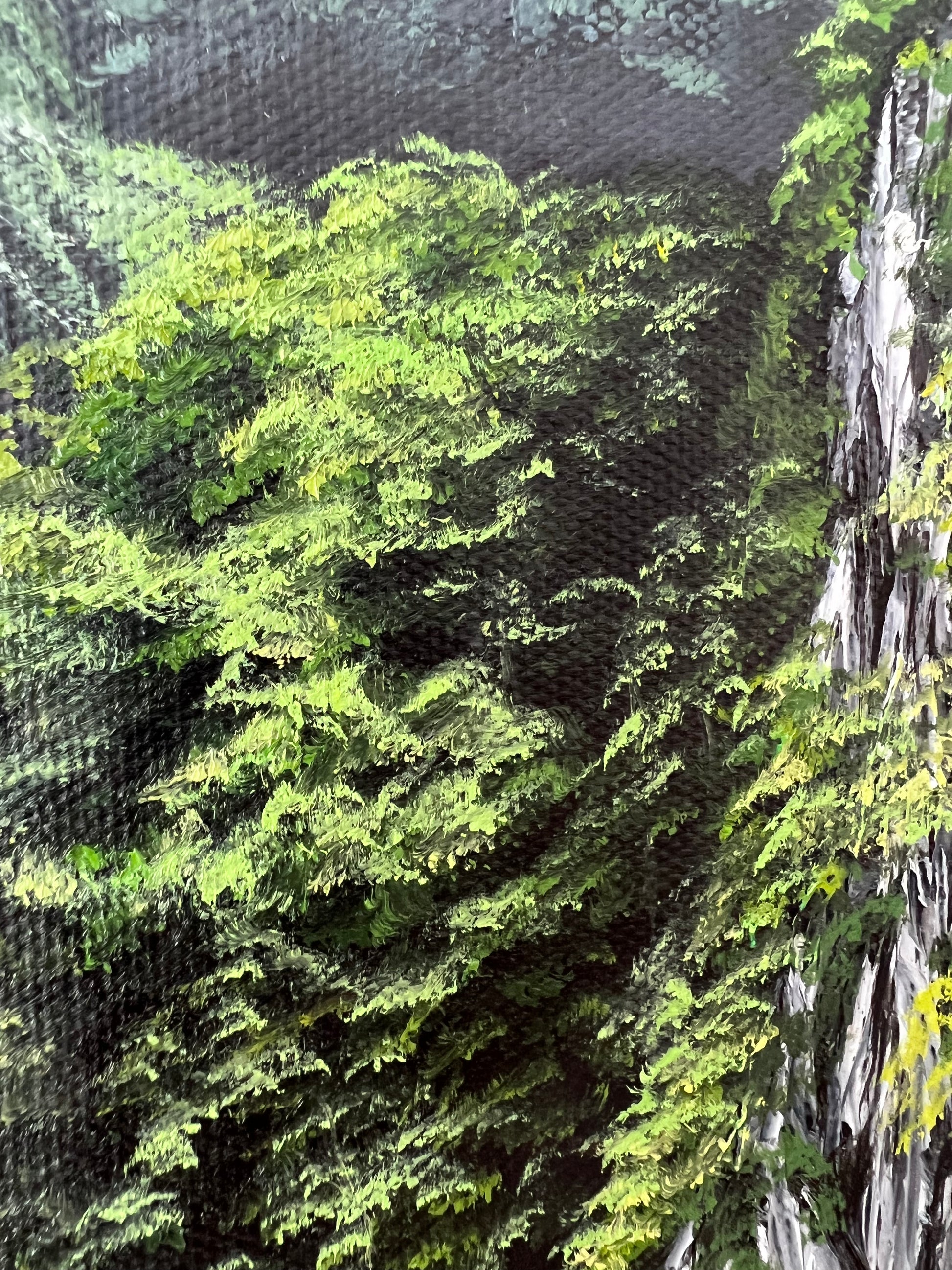 "Wild and Free" -  Long Reua Tah Muen, Phitsanulok Canvas Art Print